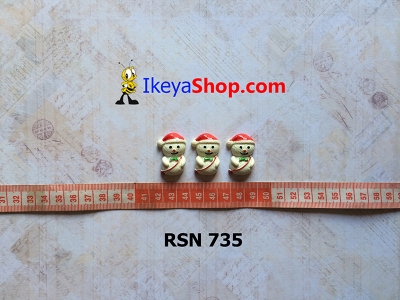 rsn 735  large2